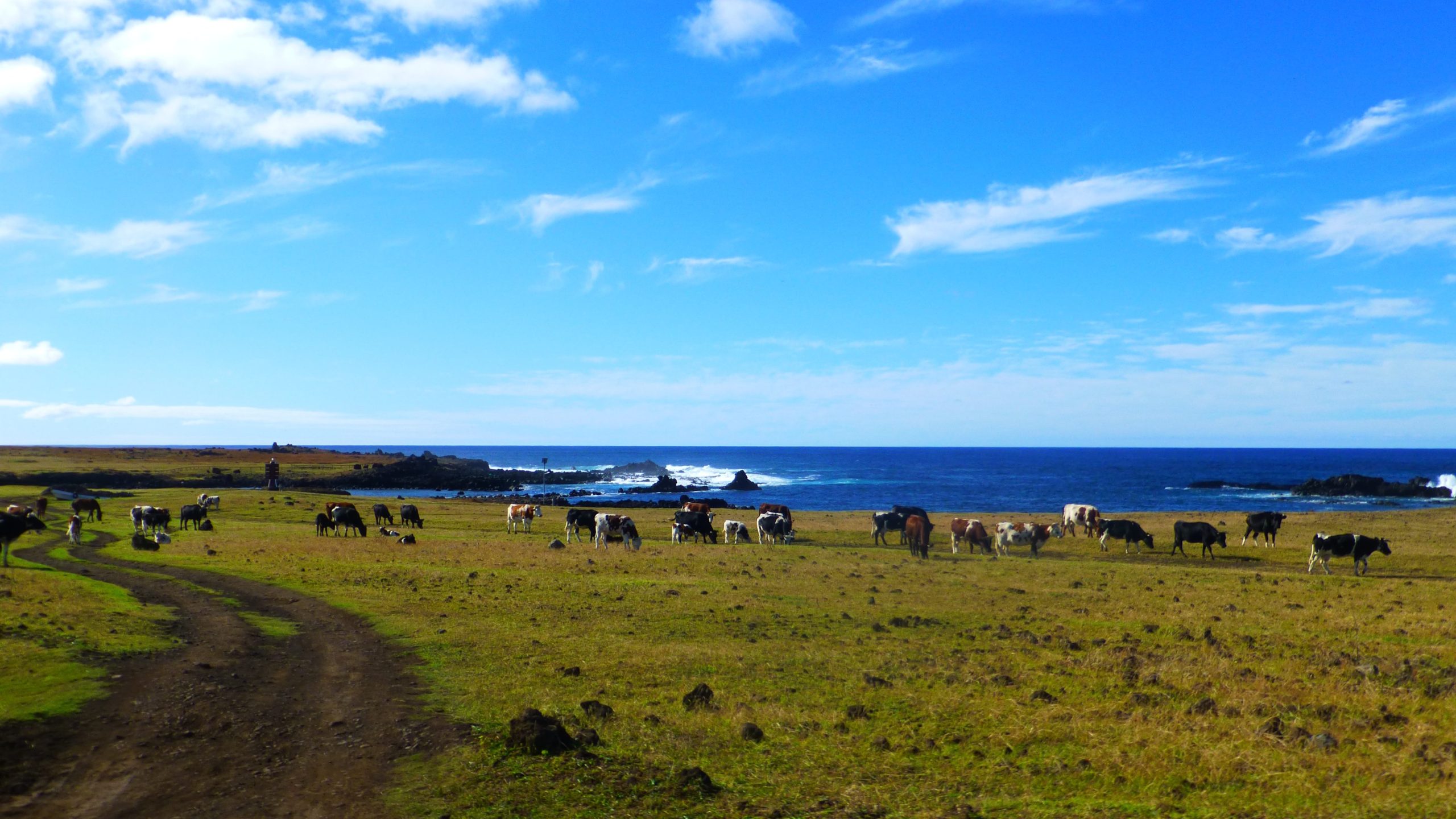 Destination Islands