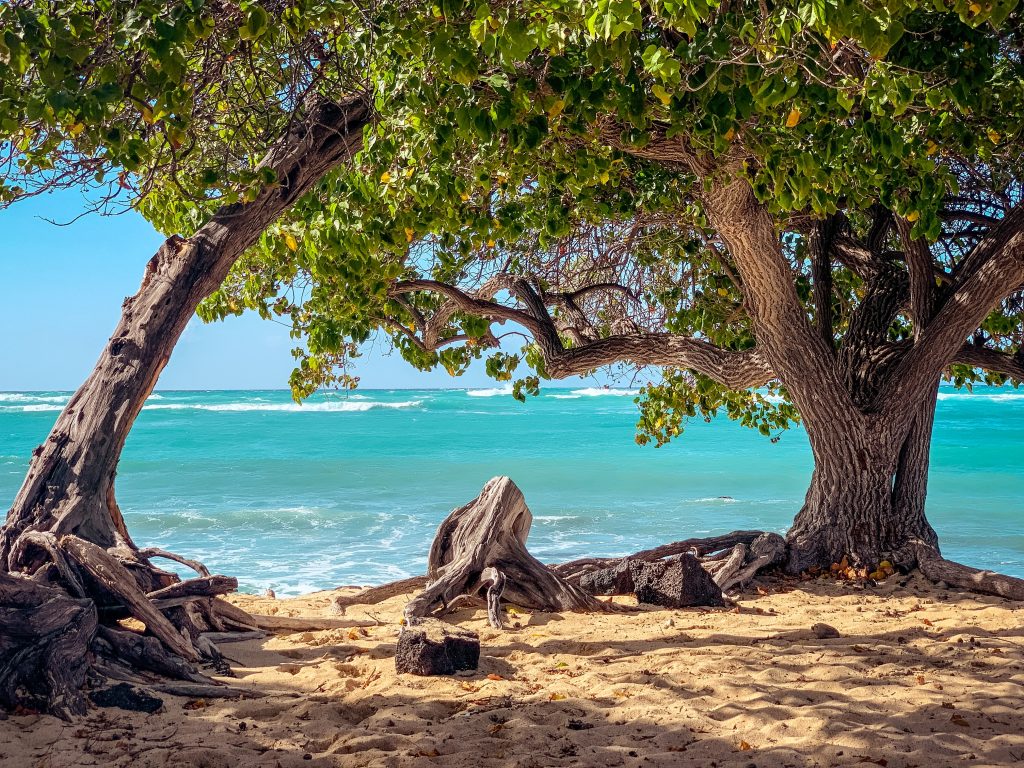 Destination Islands