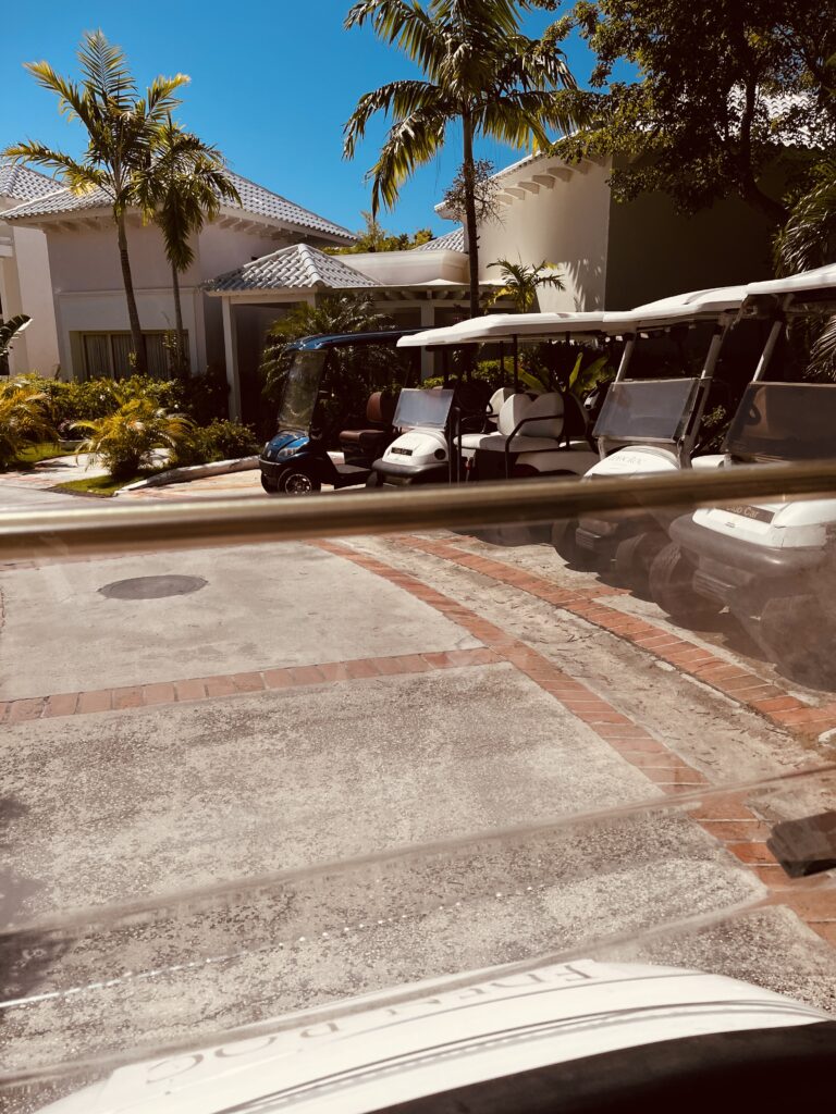 Eden Roc